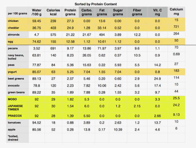 Nutrition of Shoots - Bamboo Farming USA